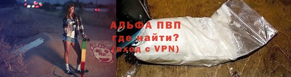 СК Сясьстрой