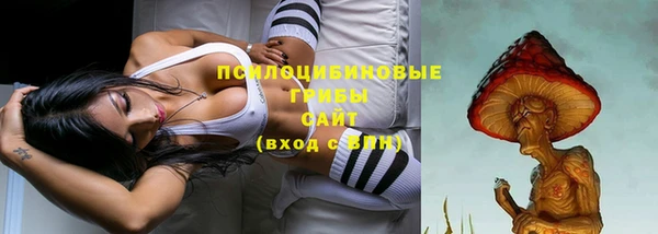 эйфоретик Бугульма